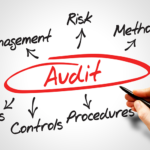 The word Audit written and red and circled with arrows pointing out from it to the words Management, Risk, Methods, Plans, Controls, and Procedure (written in black)